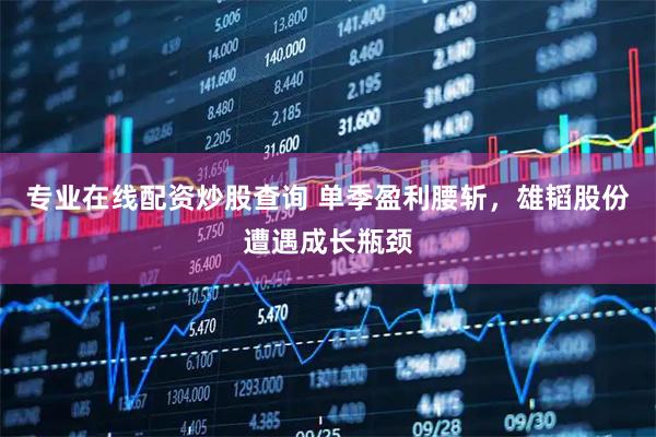 专业在线配资炒股查询 单季盈利腰斩，雄韬股份遭遇成长瓶颈