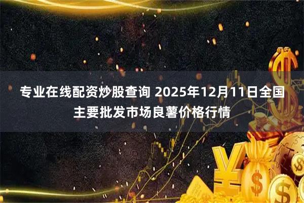 专业在线配资炒股查询 2025年12月11日全国主要批发市场良薯价格行情