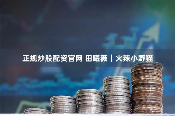 正规炒股配资官网 田曦薇｜火辣小野猫