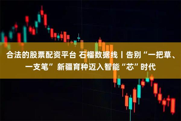 合法的股票配资平台 石榴数据线丨告别“一把草、一支笔” 新疆育种迈入智能“芯”时代
