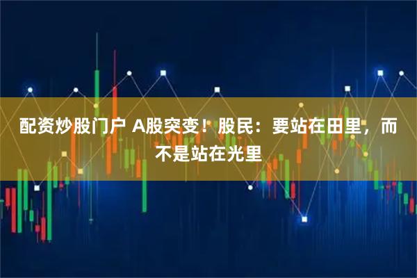 配资炒股门户 A股突变！股民：要站在田里，而不是站在光里